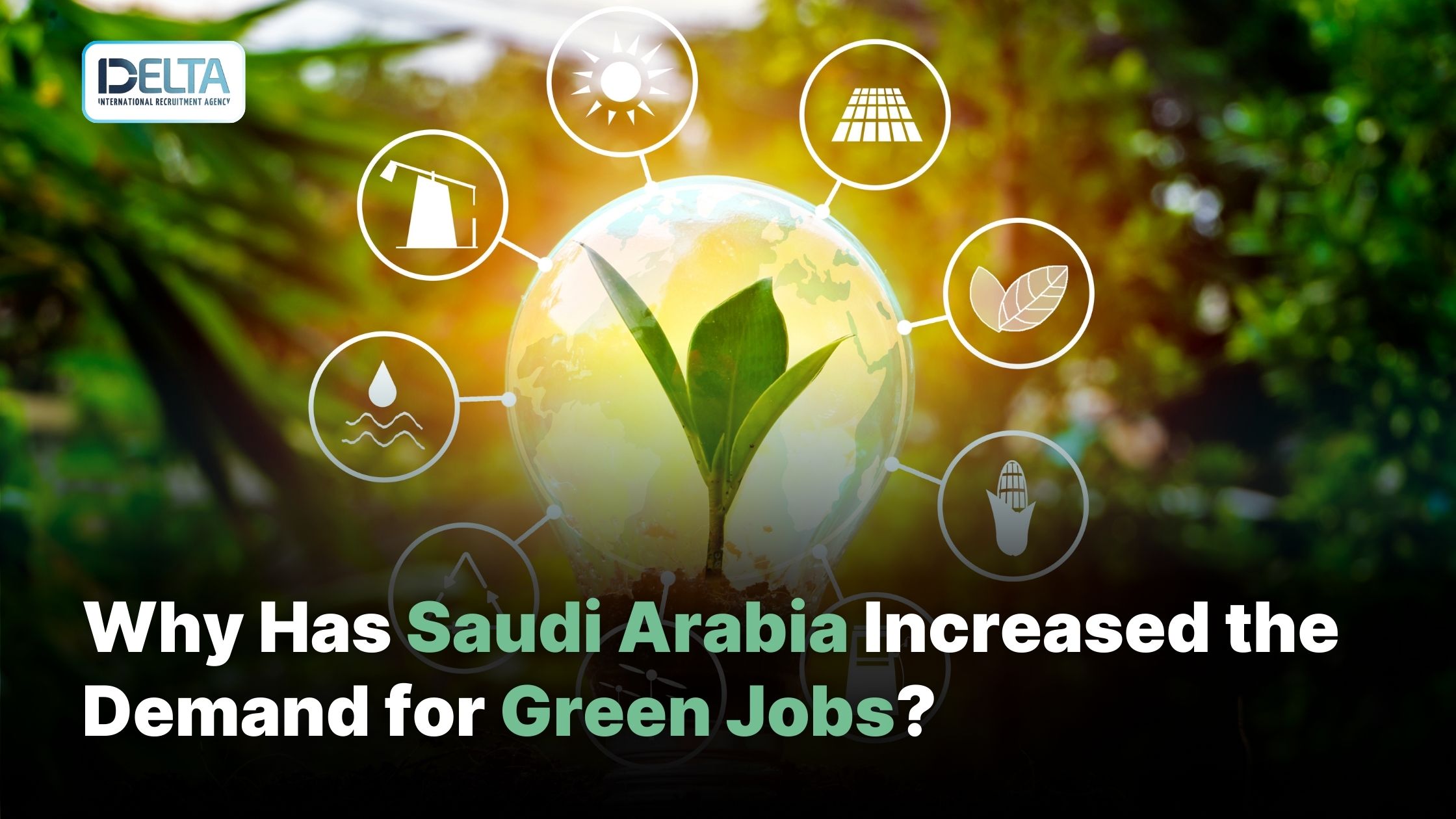 Why Has Saudi Arabia Increased the Demand for Green Jobs?